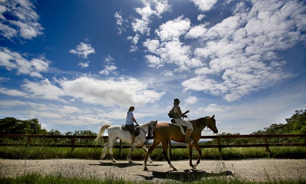Carol Adair, left of Upper Lake and Layla Neuron of Forestville take their Arabian's Emi and Bo for a trail ride around Foothill Regional Park in Windsor, Wednesday April 20, 2016. Sonoma County was once again given A grades across the board for clean air by the American Lung Association's annual air quality report. (Kent Porter / Press Democrat ) 2016